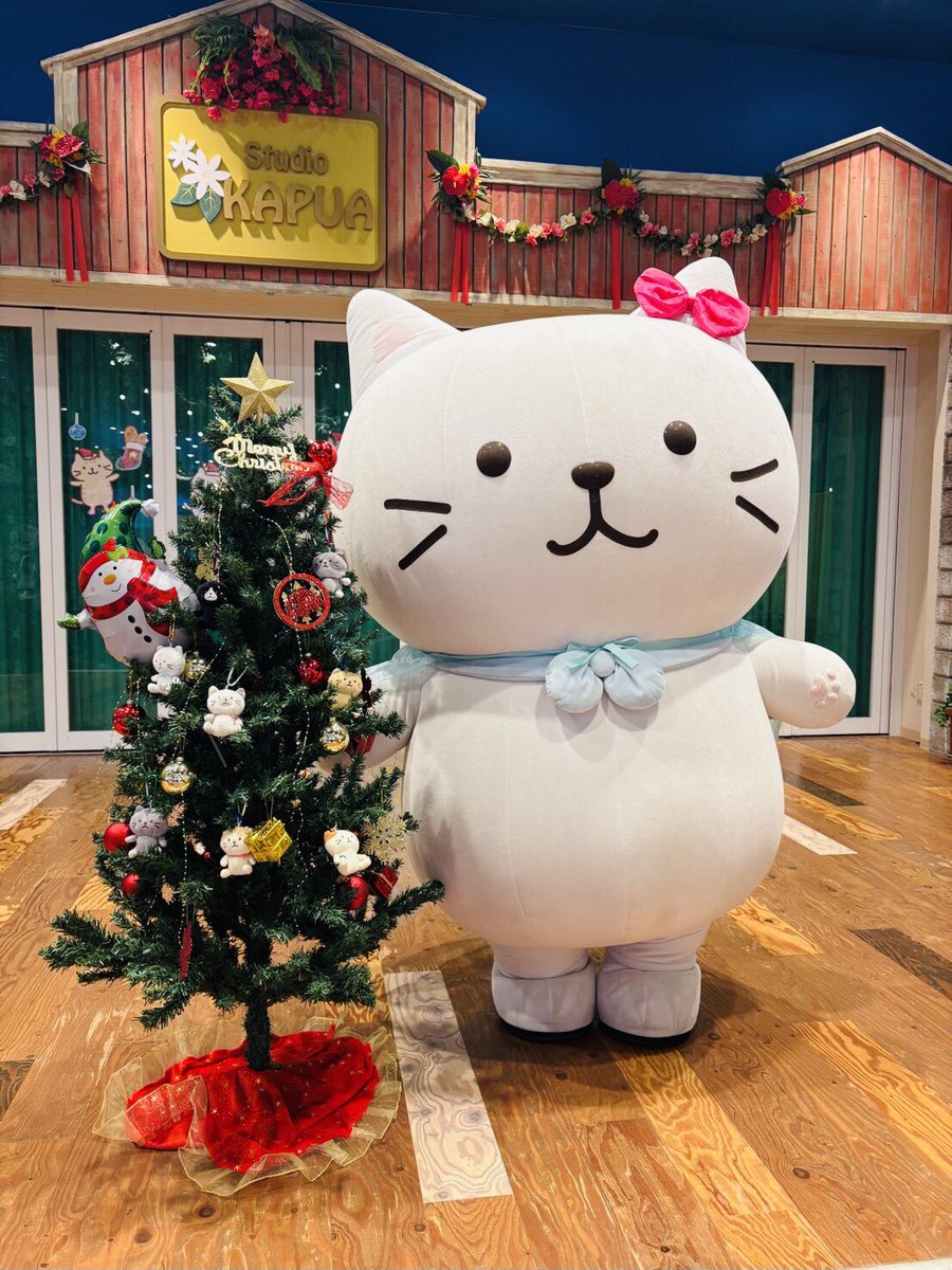 ⋰ 🐱#ふくふくにゃんこ📷 グリーティングイベント開催☆ˎˊ˗ ⋱ しろ