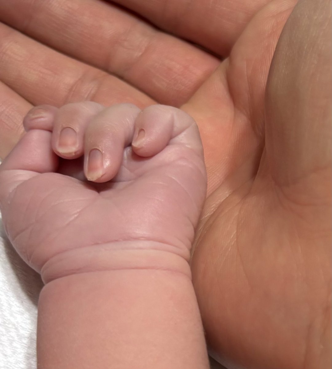 Vodka(ウオッカ) tweet media