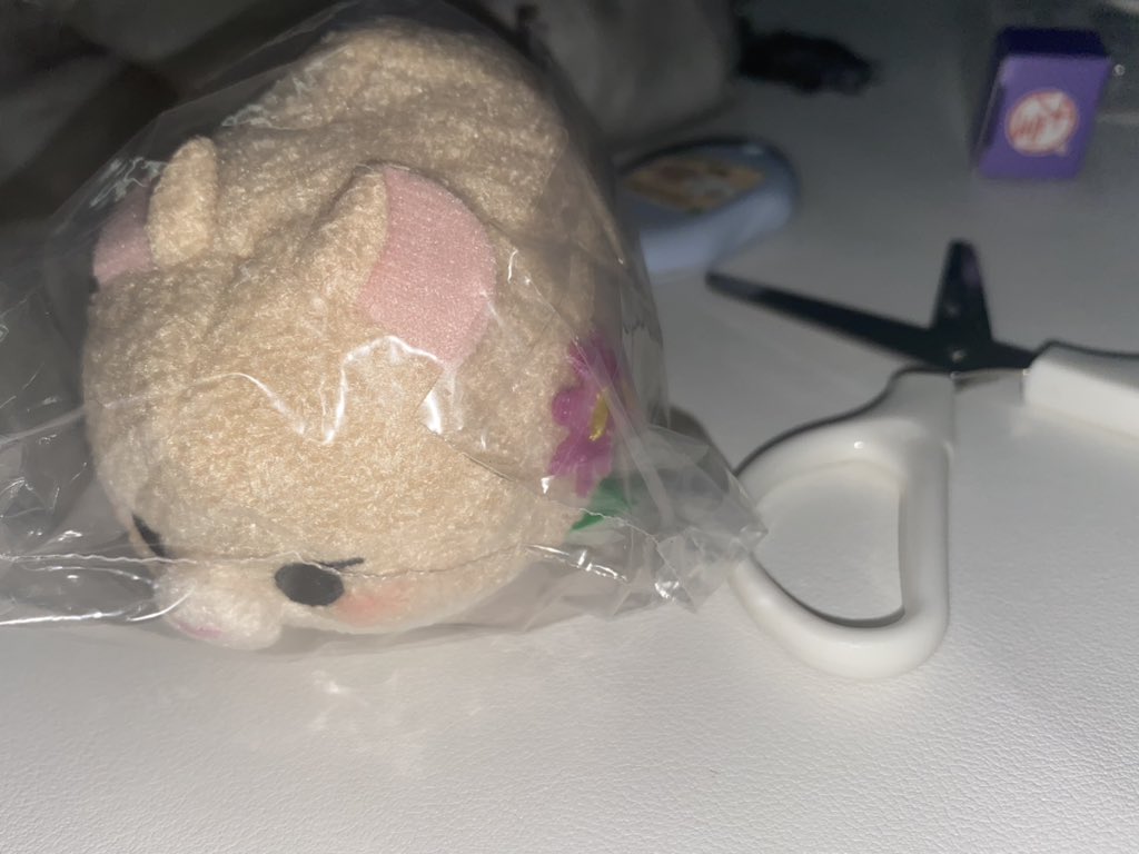 sh1never's tweet photo. #일상계트친소 https://t.co/ObFGJAQIqL