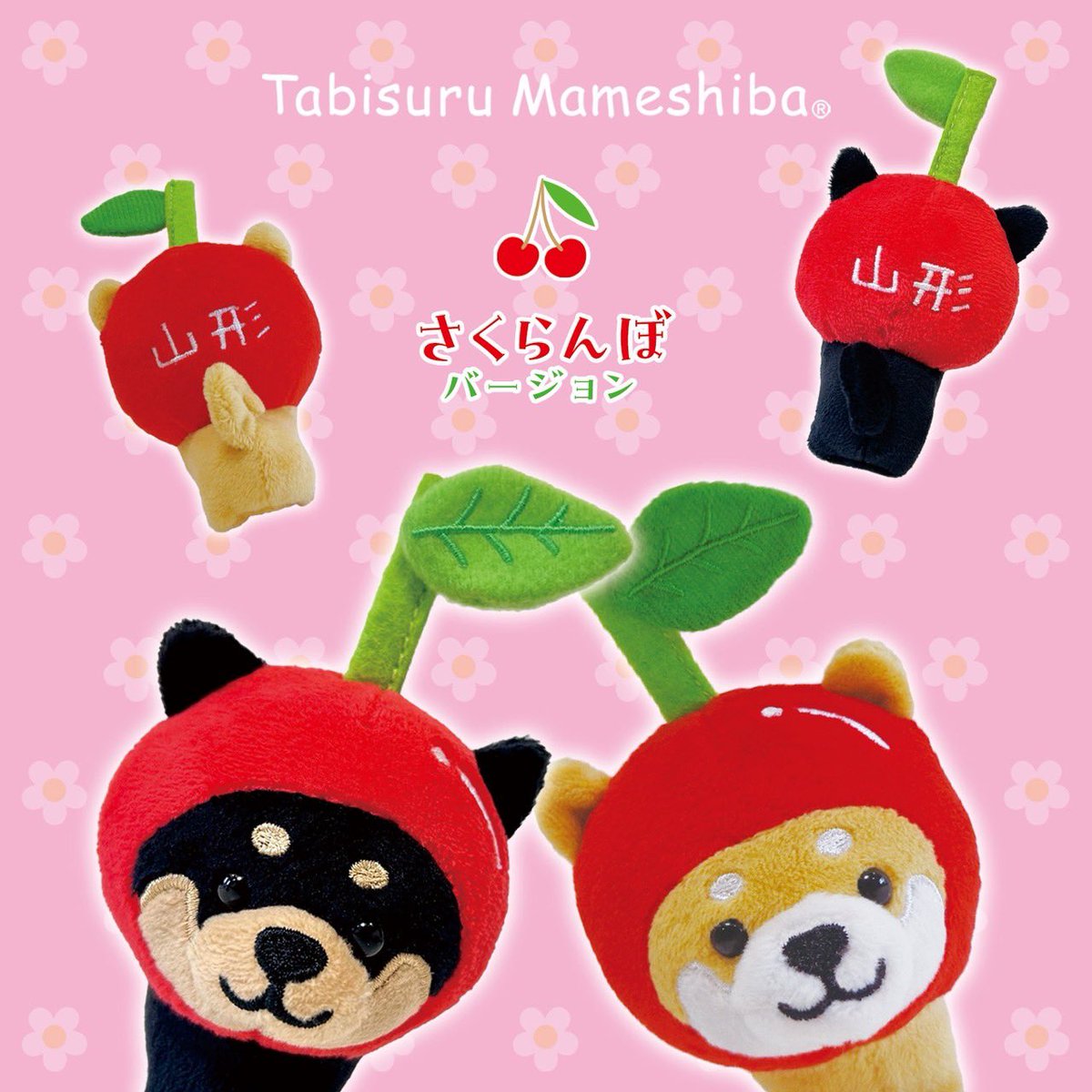 旅するマメしば (@tabi_mameshiba) / Posts / X