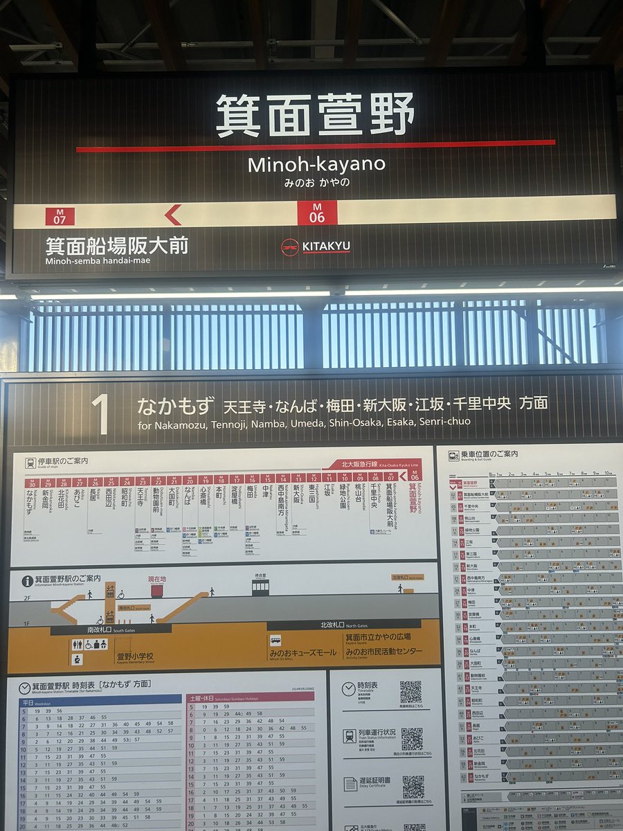 超希少❗️美株❗️アグラオネマ　ゴールデンドラゴン✨ Amazon.co.jp: 10118 サファリ ゴールデンドラゴン : おもちゃ