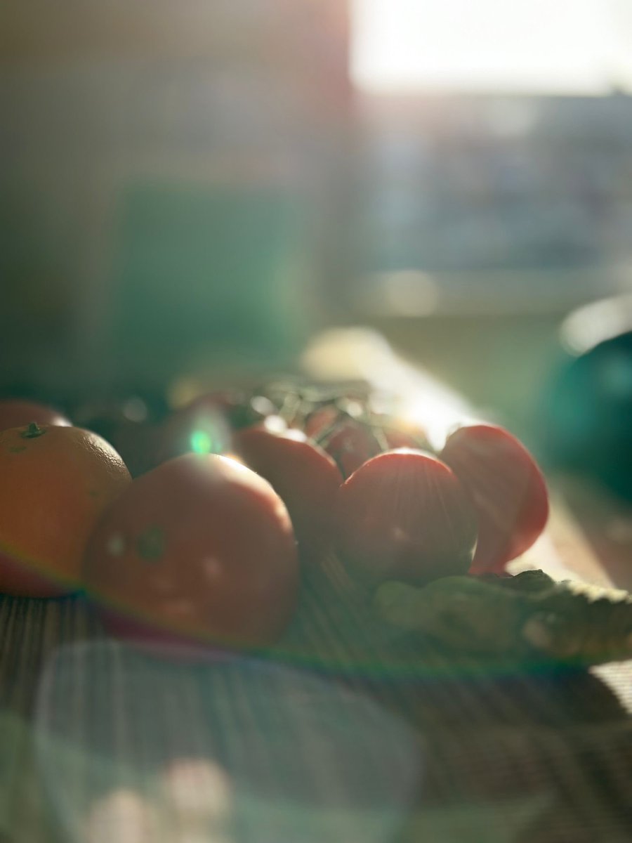 وما همچنان دوره می کنیم 
شب را…
روز را…
وهنوز را…