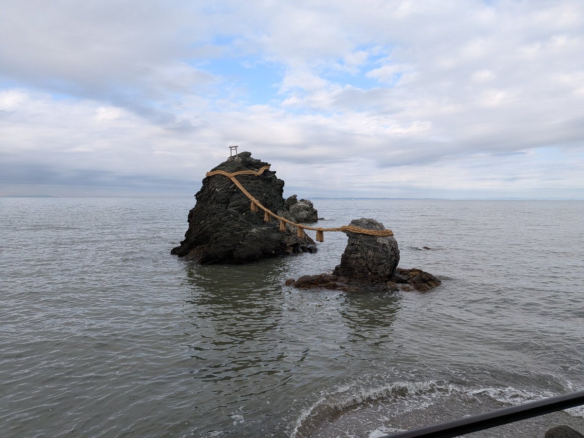 🍺し〜～ば🥃みんとら(⁠~⁠‾⁠▿⁠‾⁠)⁠~ tweet media