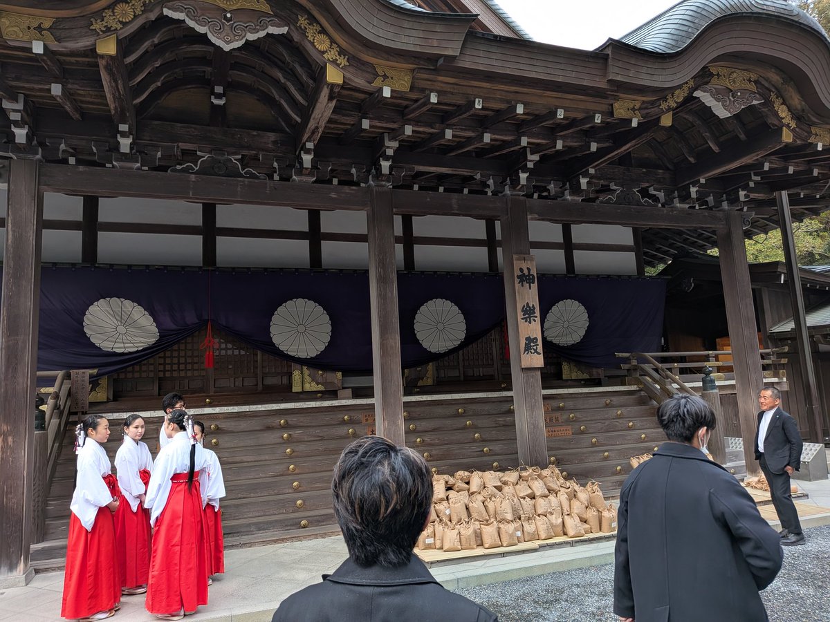 🍺し〜～ば🥃みんとら(⁠~⁠‾⁠▿⁠‾⁠)⁠~ tweet media