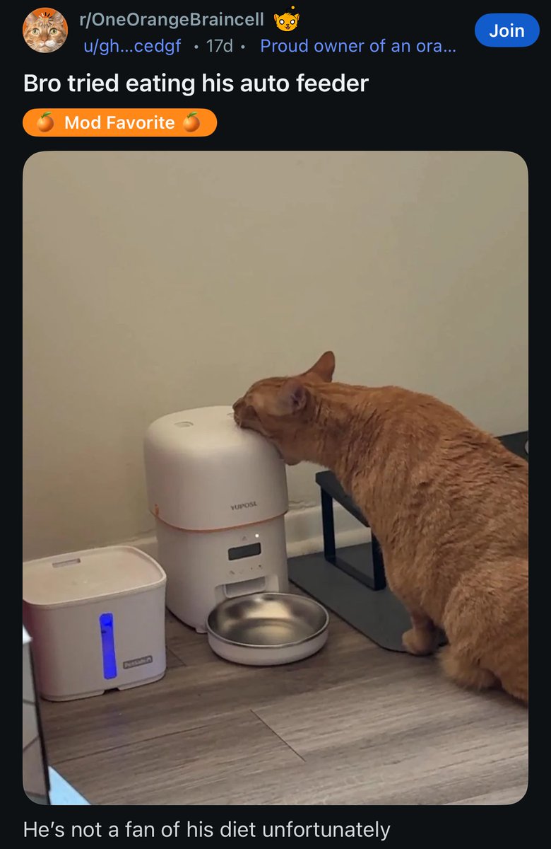 Images AI Could Never Recreate (@imagesaicouldnt) on Twitter photo 