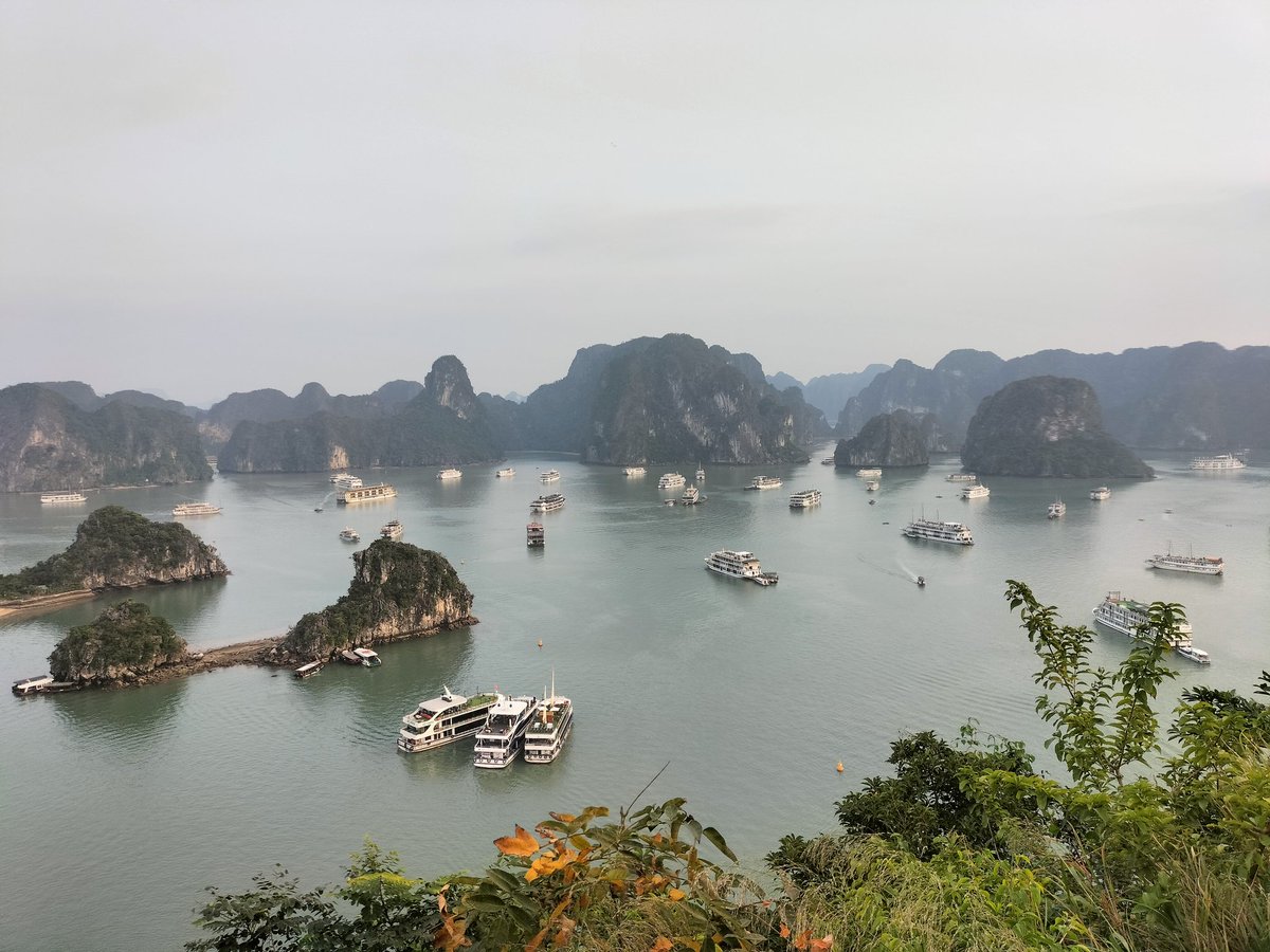 _bebebesty_'s tweet photo. ラオス🇱🇦ベトナム🇻🇳周遊旅⑪
📝ハロン湾クルーズ🇻🇳
6時間の日帰りコースでバンブーボート、洞窟探検、展望台への階段激登りと大満足！
#ハロン湾
#ハロン湾クルーズ
#ベトナム旅 https://t.co/H7haeeU5Q1
