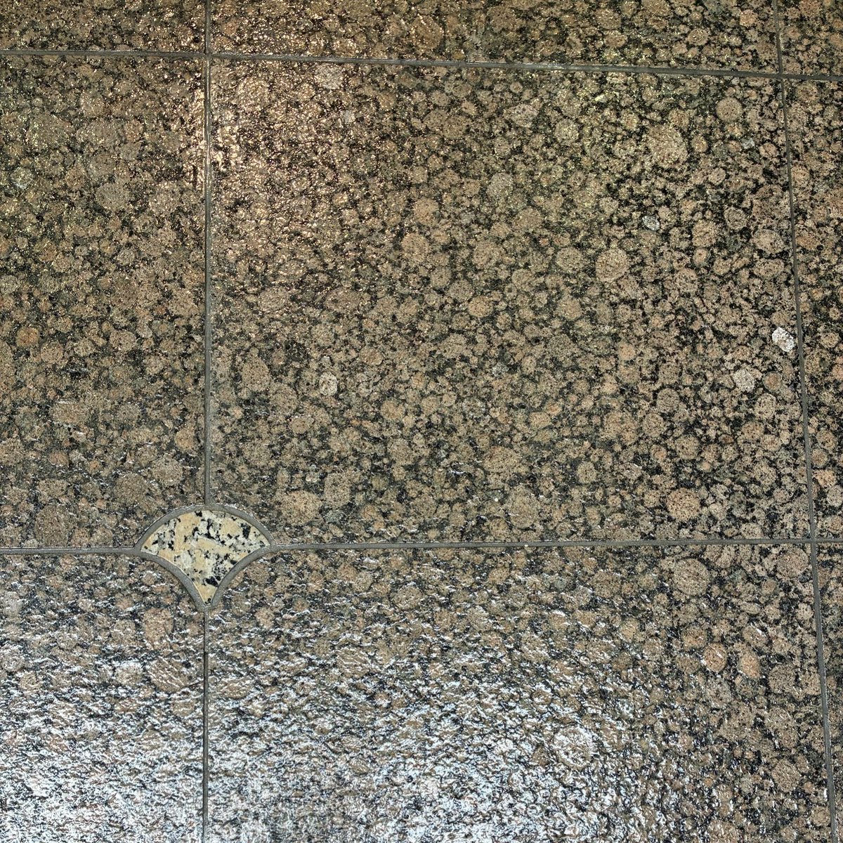 今年も残りあと半月になりました。当館敷地内のイチョウの木はすっかり葉が落ちて、地面を黄色に染めています。実は、当館は館内にもイチョウの葉(の装飾)が落ちています。イチョウは神奈川の県木。ほかにも館内のどこかに県花やまゆりの装飾がありますので、ご来館の際はぜひ探してみてくださいね。