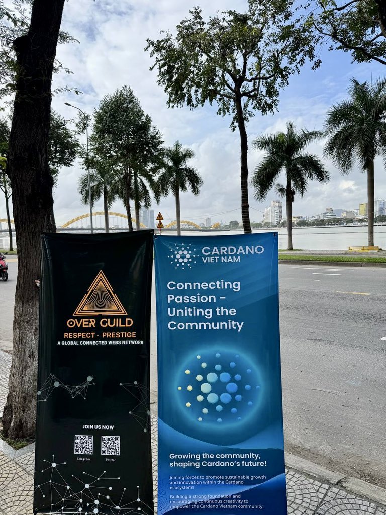 Over Guild tweet media