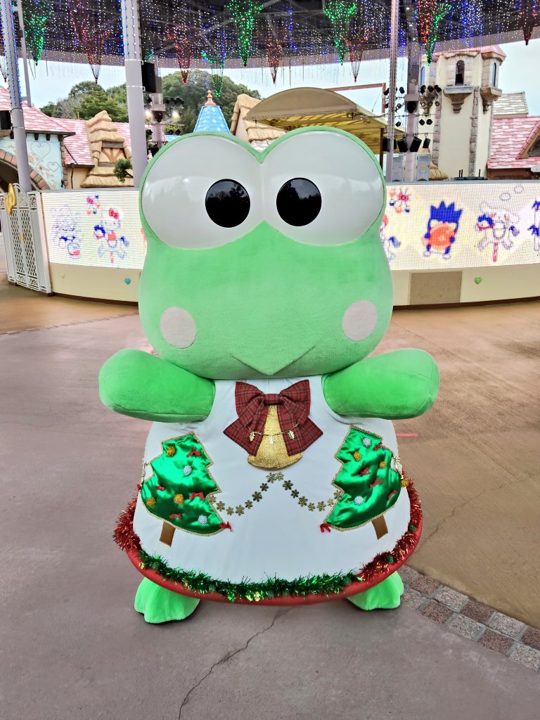 蓮の上けろっぴ (@kero2keroppi) / Posts / X