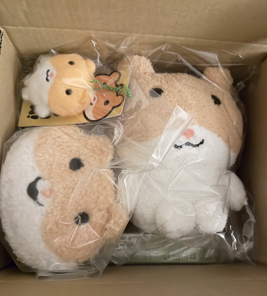 ポップアップで完売してたアイテムがオンラインで買えて届いたんだけど、箱開けた瞬間かわいすぎる〜🐹💕

<a href="/doohambba/">두햄빠!</a>