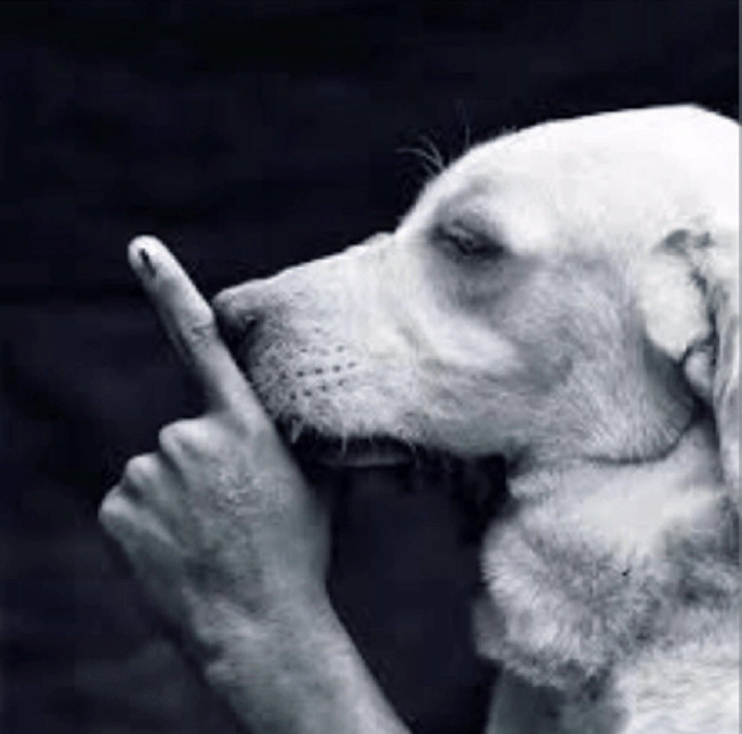 sage prodigy tweet media