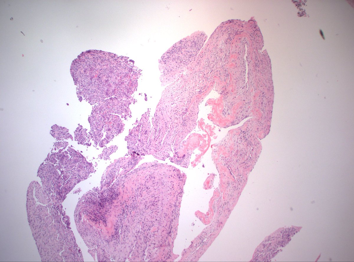 Dan Graham tweet media