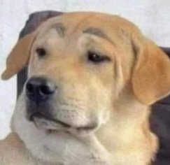 Soy la persona que menos se quiere comunicar en el mundo me manda un mensaje un amigo y es como uhhhh que quiere este entro a ig un amigo me mando un reel y me quiero p un t