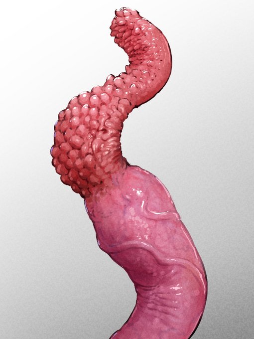 この3本同時触手🪱🪱🪱(特におっぱい🍮!!)
 #今年一番伸びた絵を貼る 