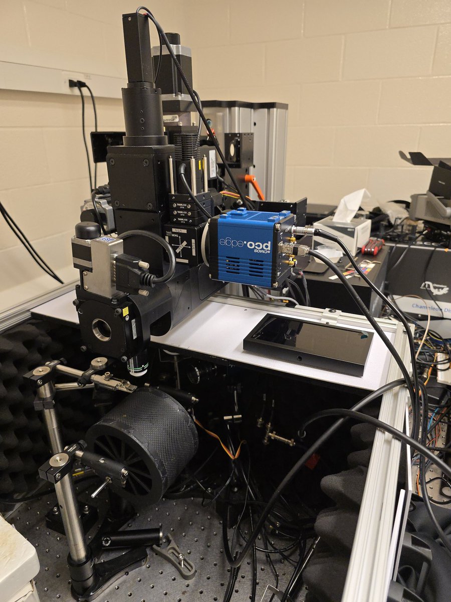 bozhi_wu's tweet photo. Another failed experiment… Feels like no real progress has been made on my project after 3.5 years of my #PhD. Definitely in a love–hate relationship with the #2P microscope right now... Well, more accurately, with #headfixed behavior. https://t.co/RE7bBZI5F6