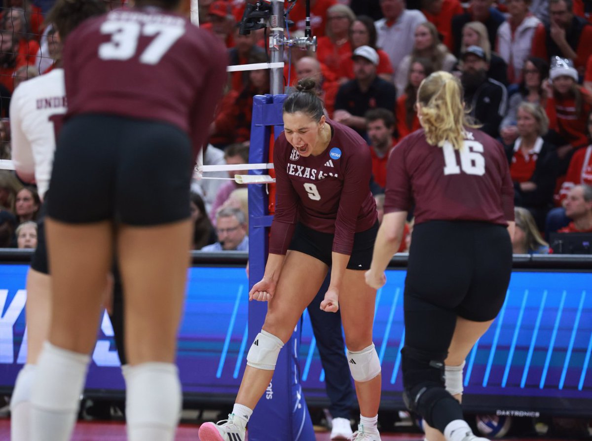 AvidVolley tweet media