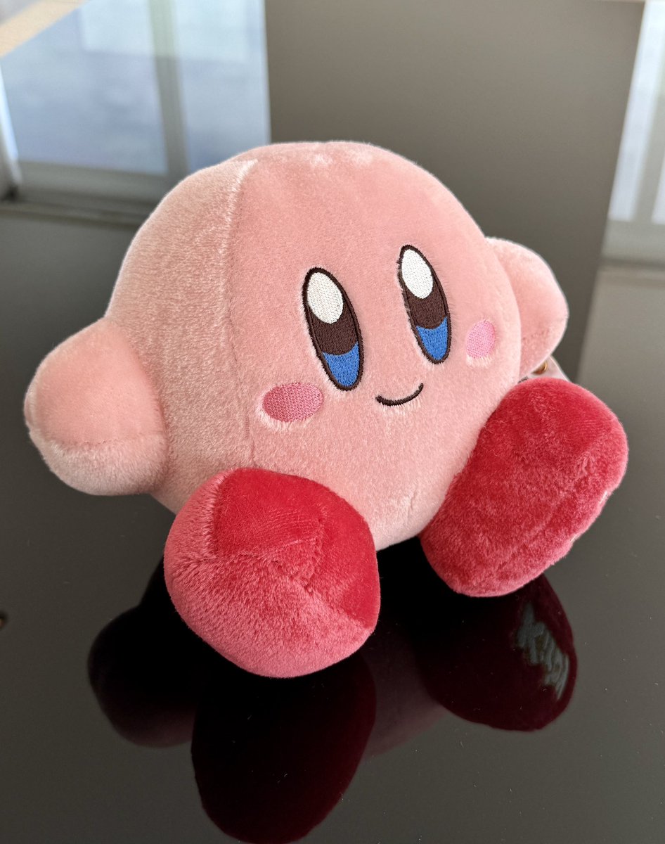 シュタイフのカービィ
見た目よりずっしり