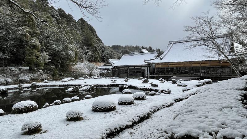 冬季休業のご案内 《12/27-1/3》【インフォメーション】 2025年12月27