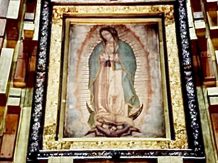 Santa María de Guadalupe, Reina de México, Emperatriz de las Américas, conserva nuestra fe e intercede por nuestra Patria. Amén 
🙏🏻💕🇲🇽

𝗙𝗶𝗲𝘀𝘁𝗮 𝗱𝗲 𝗡𝘂𝗲𝘀𝘁𝗿𝗮 𝗦𝗲ñ𝗼𝗿𝗮 𝗱𝗲 𝗚𝘂𝗮𝗱𝗮𝗹𝘂𝗽𝗲.