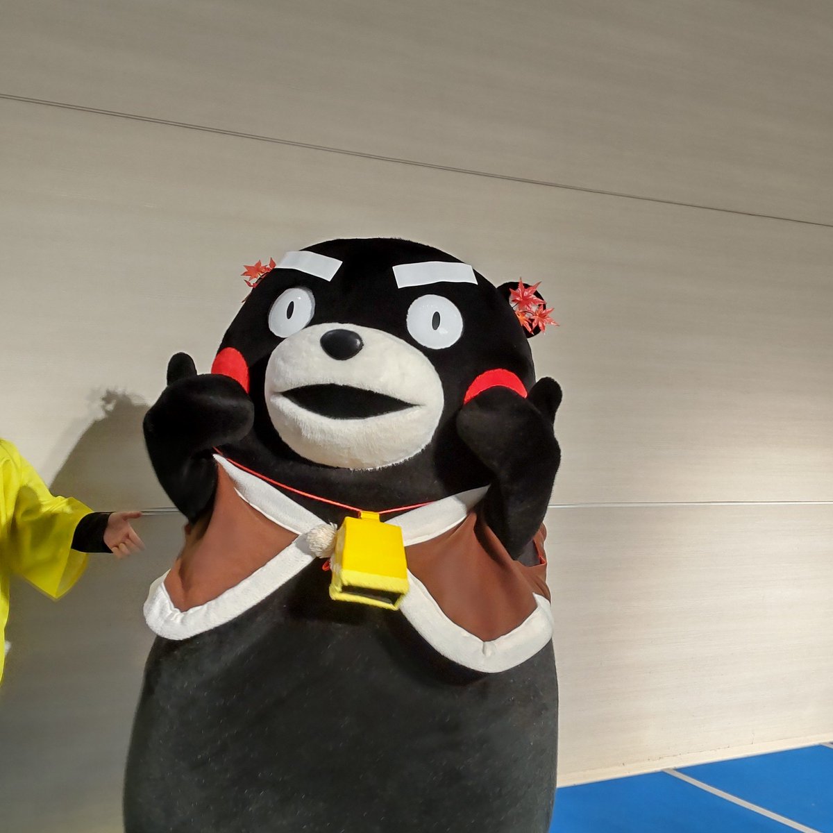 くまモン⭐️値下げ中 くまモン