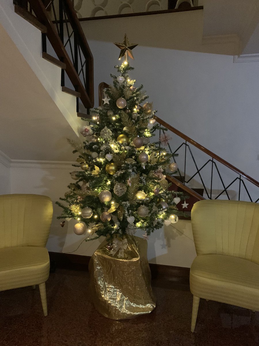 steaph1999's tweet image. Xmas