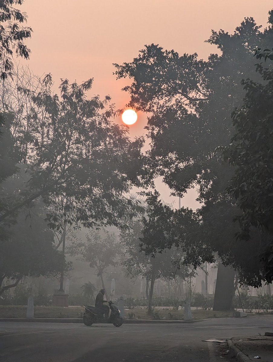 Delhi (Vasant Kunj) é como uma versão gerada por inteligência artificial de uma cidade no sopé do Himalaia... manhãs lin