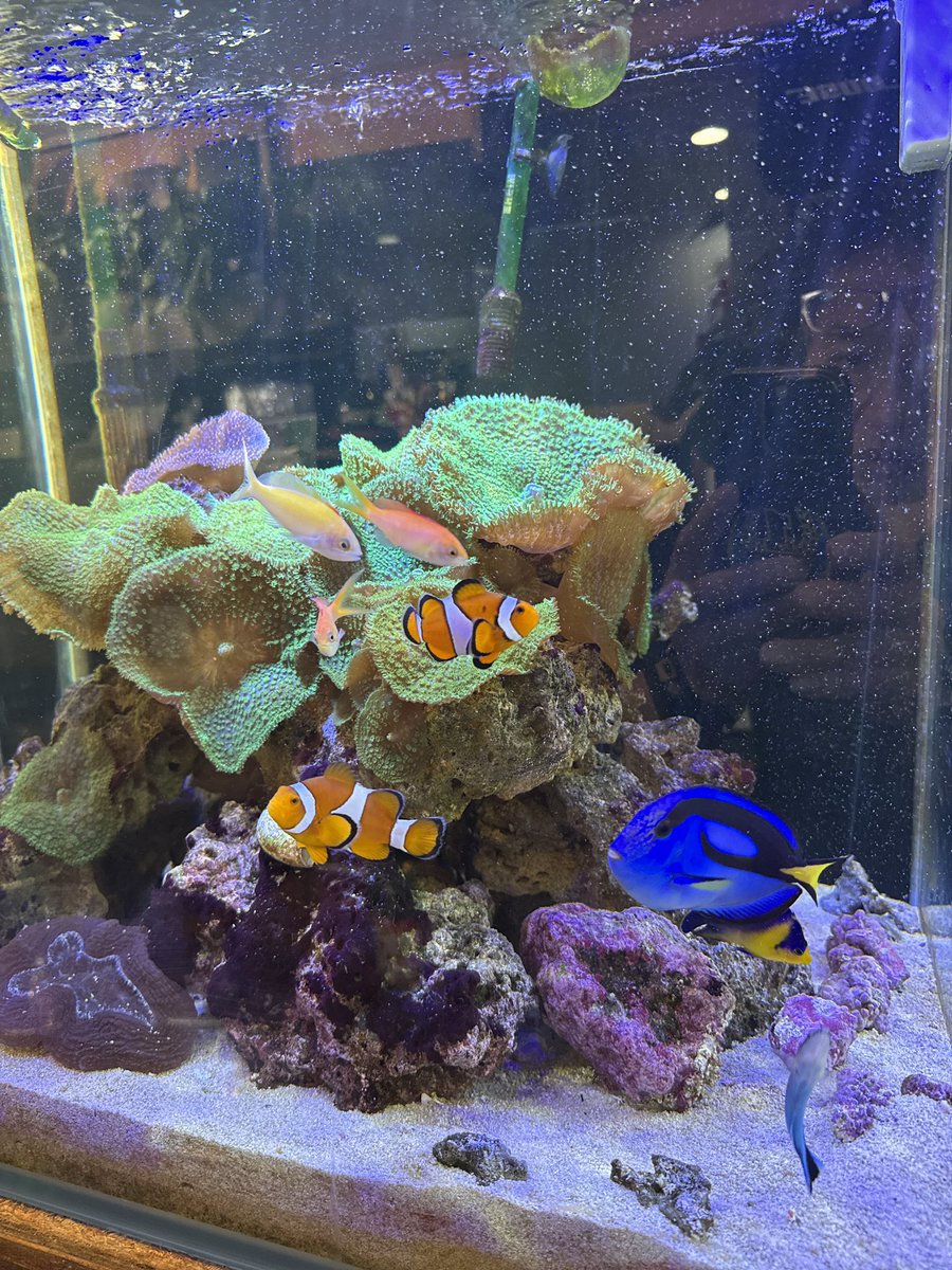 カフェ_マウント tweet media