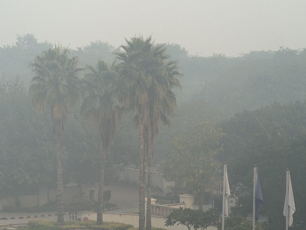 Delhi (Vasant Kunj) é como uma versão gerada por inteligência artificial de uma cidade no sopé do Himalaia... manhãs lin