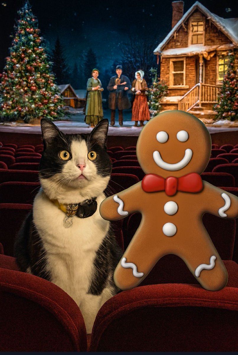 David S. Gingras tweet media