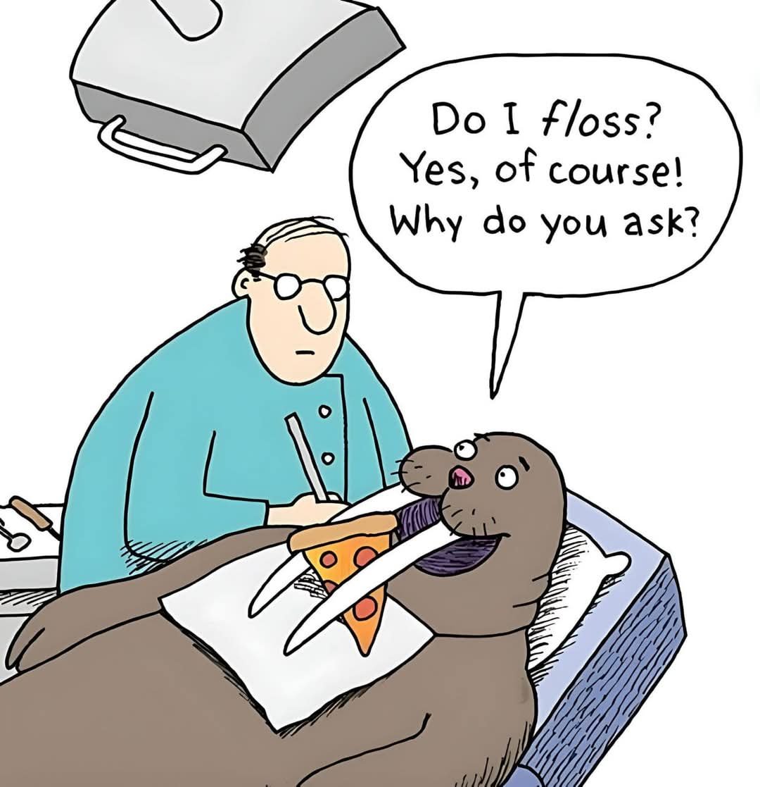 lizzypbellows's tweet photo. A reminder on pizza night 🍕😆 #dontneglectyourgums https://t.co/9tR4FHRH3o