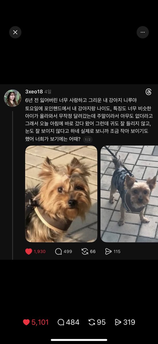 jeesdream's tweet photo. 6년만에 잃어버린 아이를
찾았다는 스레드 글 보고 아침부터 포풍오열 https://t.co/tCPLghuVJQ