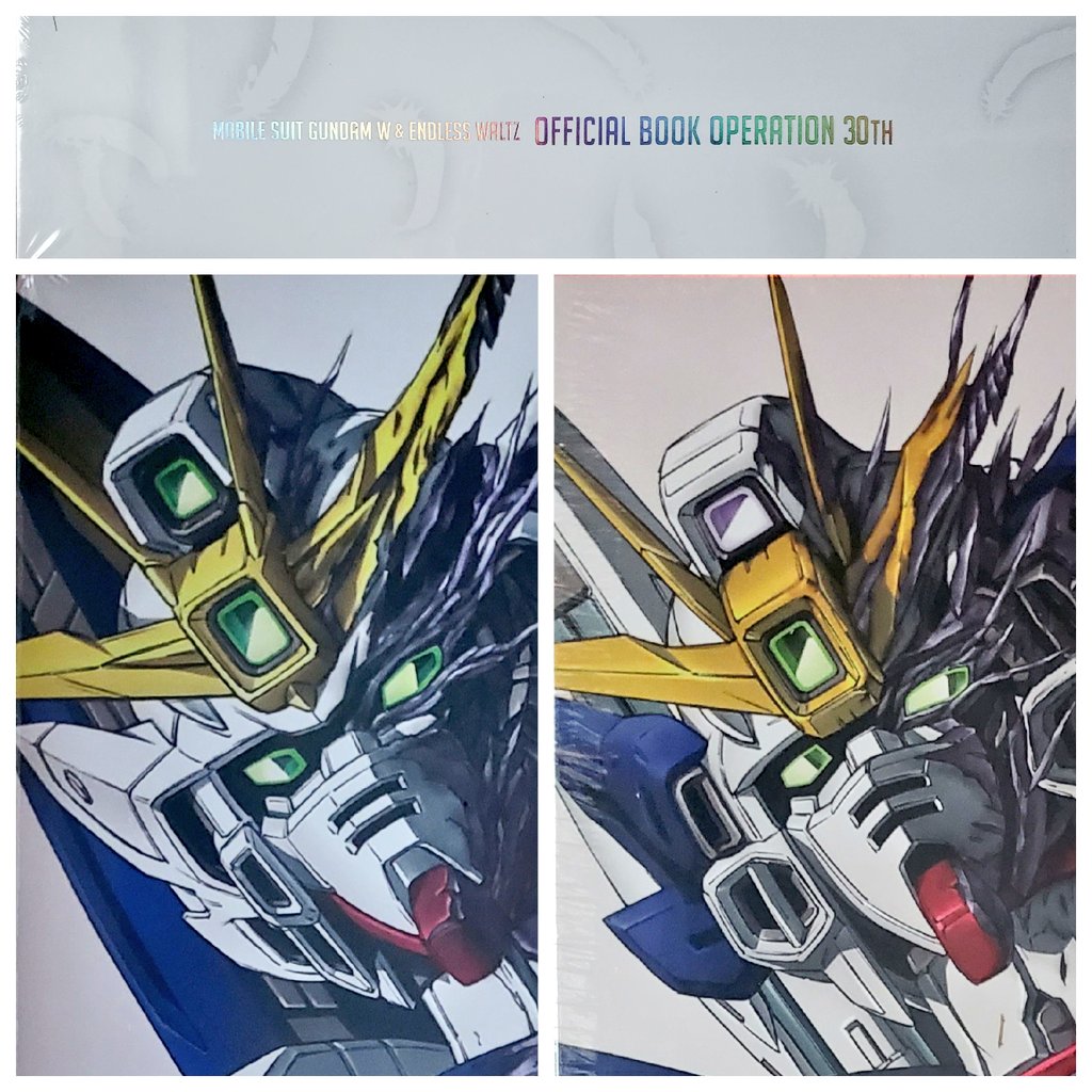 他の方も仰っているとおり、ごんぶとで重たい資料集。でもこれは30周年