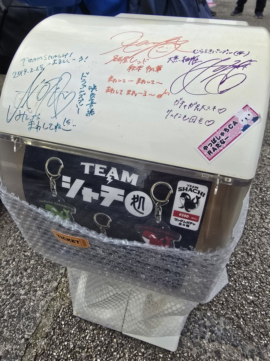 とんでもない大当たりを引きました。
#TEAMSHACHI