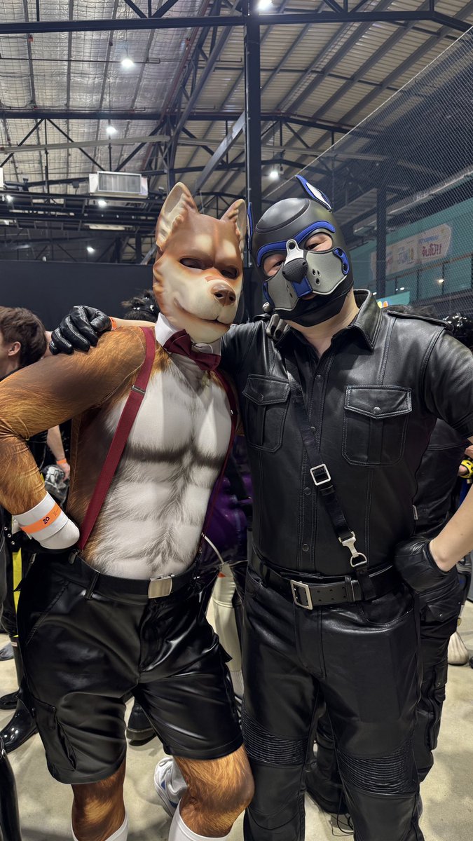 Pup AJ 🍎 tweet media