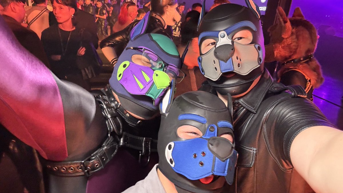 Pup AJ 🍎 tweet media