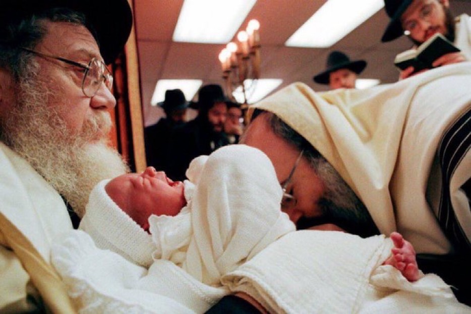 Noah’s Ark 🚢 tweet media