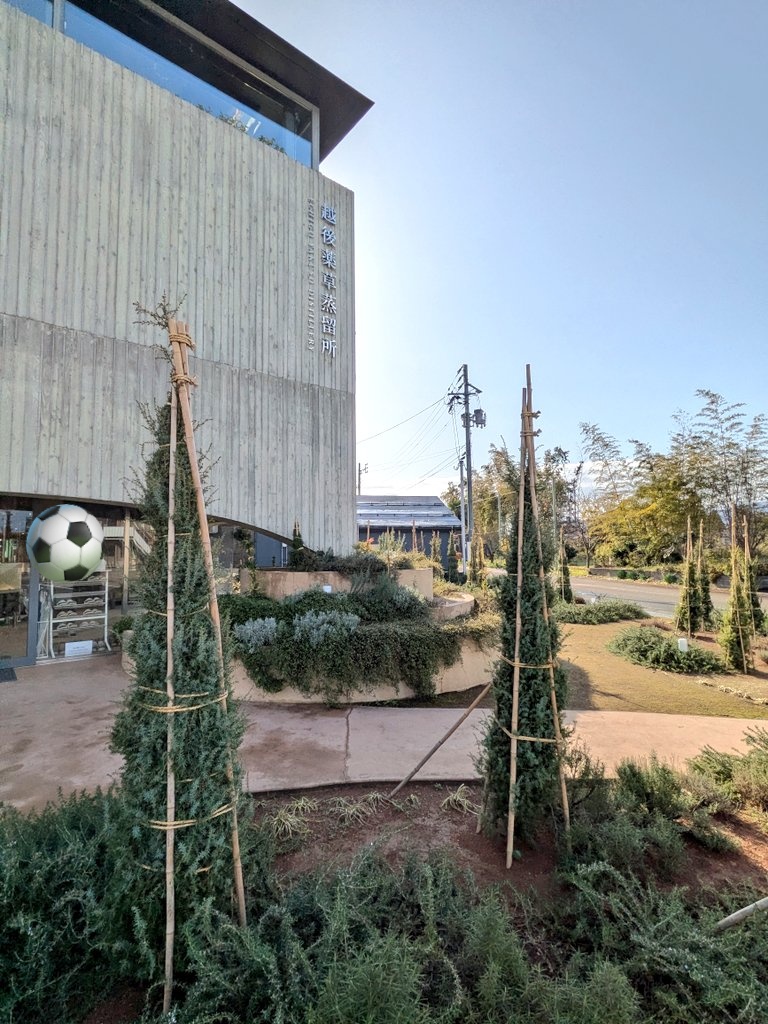 本日はよもぎ茶んアンバサダー千葉選手トーク&サイン会（11時の部）に