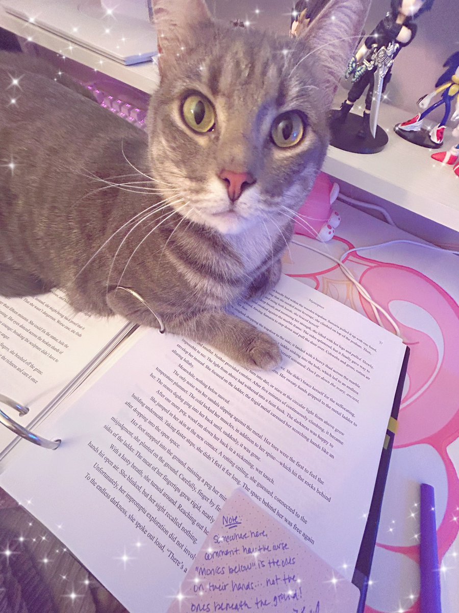 … “no you cannot edit right meow” … 💖✨😭 ok fine take ur spot ig??
