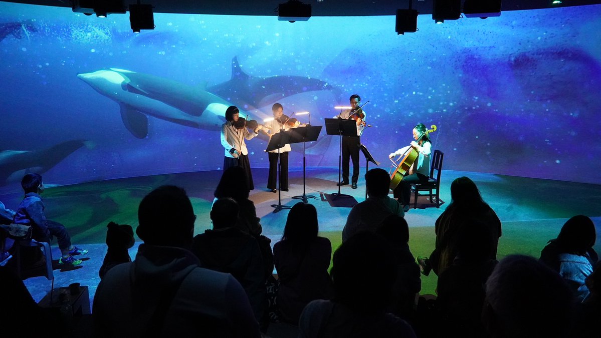 本日夜開催🎵】PMF 青い夜のクラシック🌊🌙 月1恒例、夜の水族館と