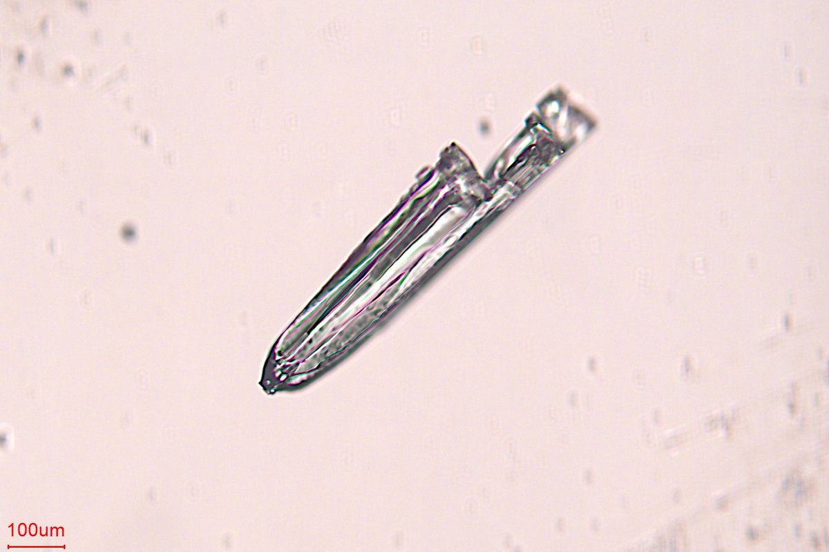 BeijingEvening's tweet image. 微观视角看北京的雪
Taking a #microscopic view of the #snow in #Beijing—this is what snowflakes actually look like!