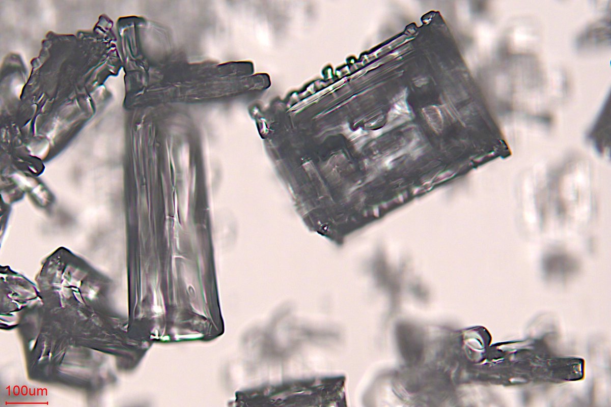 BeijingEvening's tweet image. 微观视角看北京的雪
Taking a #microscopic view of the #snow in #Beijing—this is what snowflakes actually look like!