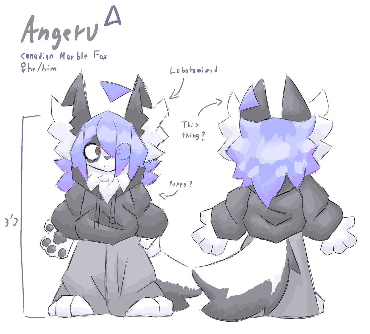 angeru ref
