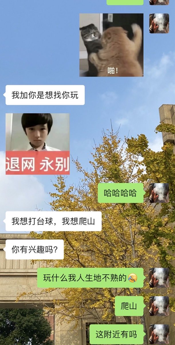辣辣子 tweet media