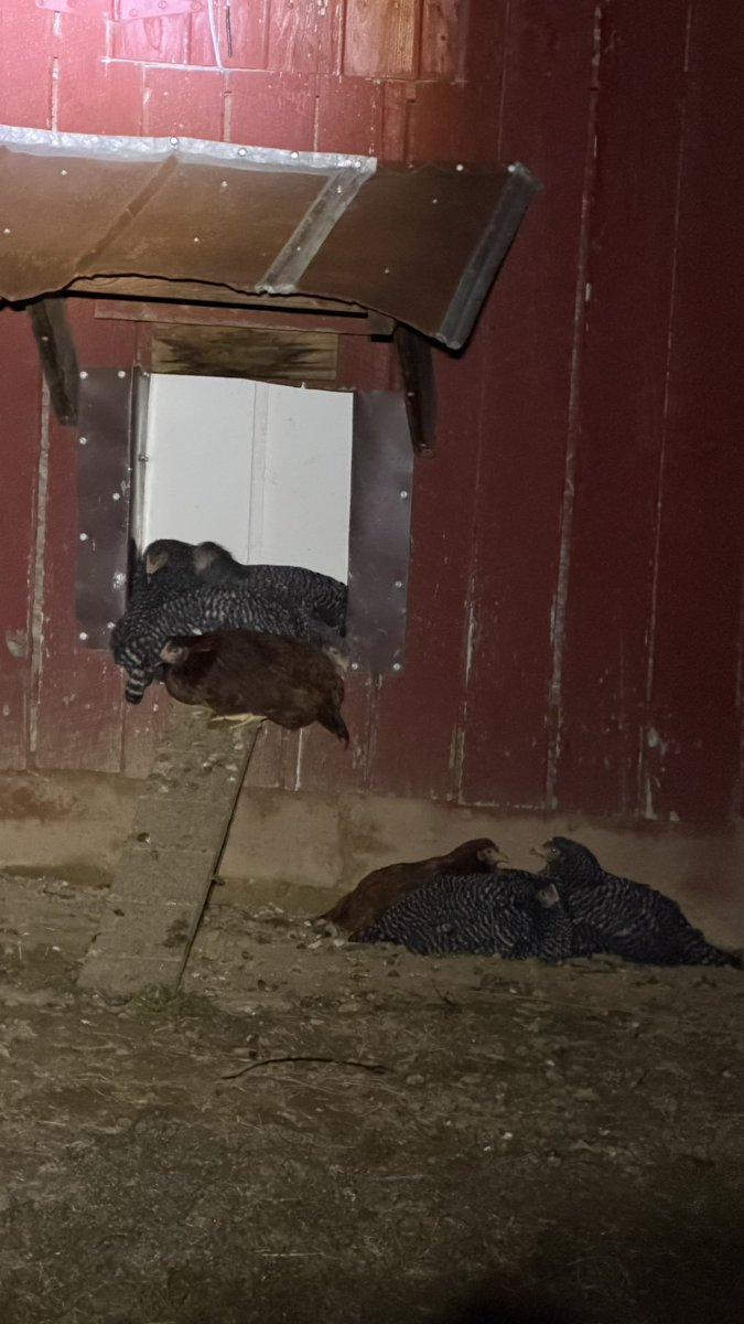 TheUberGuy tweet media