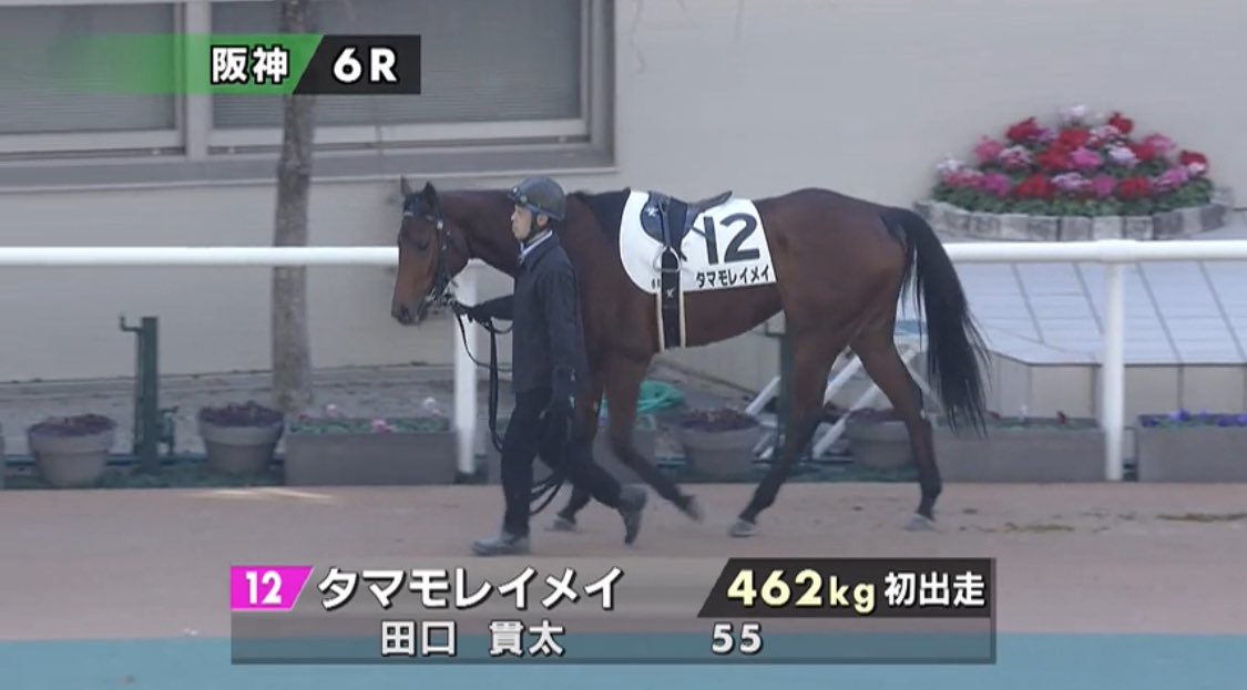 合う馬 合う馬 合う馬 スリクソン ZXシリーズ アイアンフィッティング