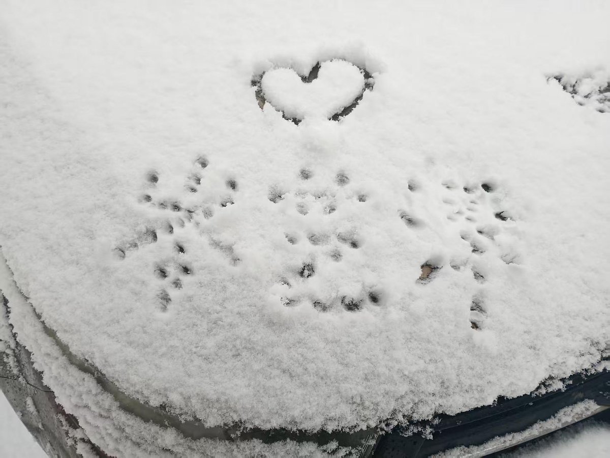 喜欢这个猫子！<a href="/maozi071008/">猫子</a>