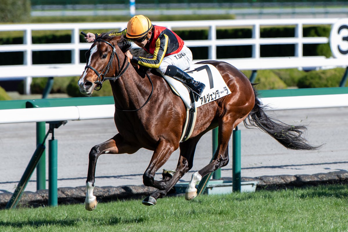 ◆　競馬　JRA　◆　ジェンティルドンナ　◆　キャップ　◆サンデーレーシング◆ ◇ 競馬 JRA ◇ ジェンティルドンナ ◇ キャップ ◇サンデーレーシング