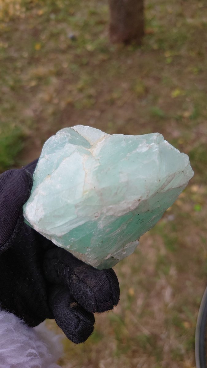 Post by 蒼のS on X: 翡翠かな？