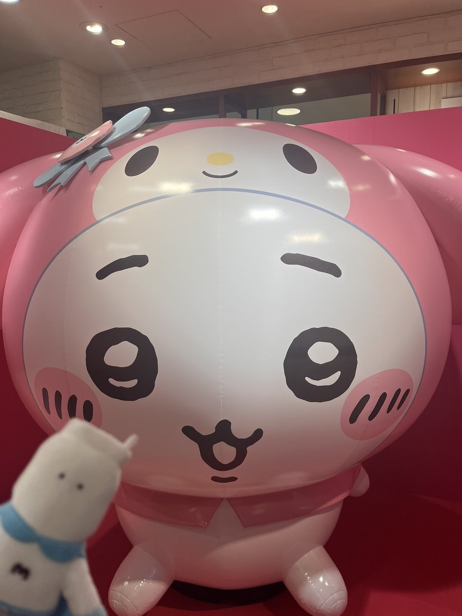 まるぽよ (@maru_poyon) / Posts / X