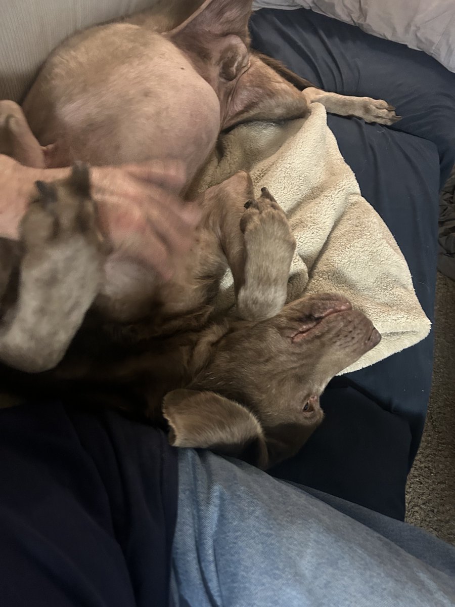 Mike B 1 tweet media